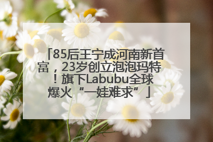 85后王宁成河南新首富，23岁创立泡泡玛特！旗下Labubu全球爆火“一娃难求”